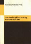 Borhidi Gábor - Munkahelyi biztonság, munkavédelem [antikvár]