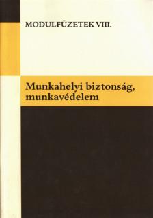 Borhidi Gábor - Munkahelyi biztonság, munkavédelem [antikvár]