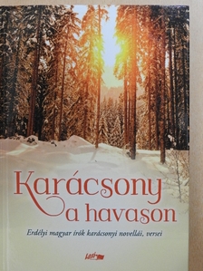 Asztalos István - Karácsony a havason [antikvár]