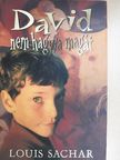 Louis Sachar - David nem hagyja magát [antikvár]