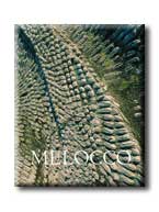 Wehner Tibor - Melocco