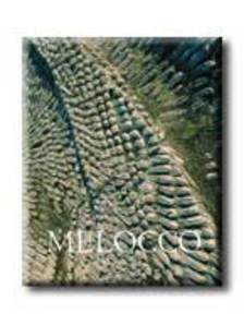 Wehner Tibor - Melocco