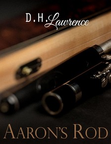 D. H. Lawrence - Aaron's Rod [eKönyv: epub, mobi]