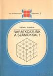 Pálfalvi Józsefné - Barátkozzunk a számokkal! [antikvár]