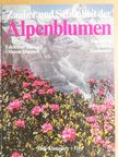 Edeltraud Danesch - Zauber und Schönheit der Alpenblumen [antikvár]