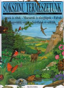 Florence Vérilhac - Sokszínű természetünk 1. [antikvár]