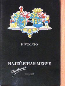 Hajdú-Bihar megye képeskönyve [antikvár]
