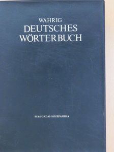 Deutsches Wörterbuch [antikvár]