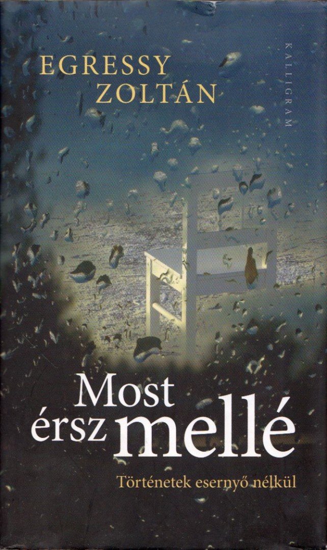Egressy Zoltán - Most érsz mellé [antikvár]