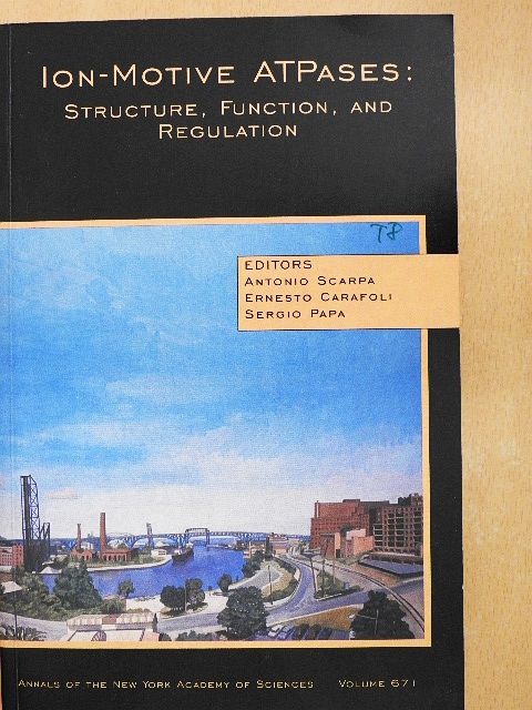 David H. MacLennan - Ion-Motive ATPases: Structure, Function, and Regulation [antikvár]