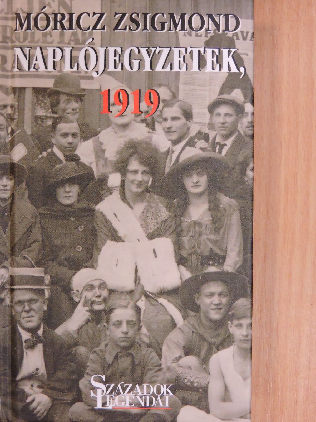 Móricz Zsigmond - Naplójegyzetek, 1919 [antikvár]