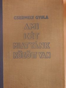 Csermely Gyula - Ami két miatyánk között van I-II. [antikvár]