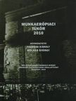 Bálint Éva - Munkaerőpiaci tükör 2010 [antikvár]
