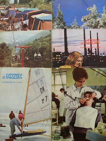 Aujeszky László - Az Egészség 1971. január-december [antikvár]
