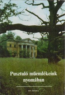 Ézsiás Anikó, Szakály István - Pusztuló műemlékeink nyomában [antikvár]