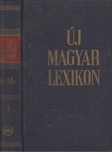 Berei Andor - Új magyar lexikon 4. [antikvár]