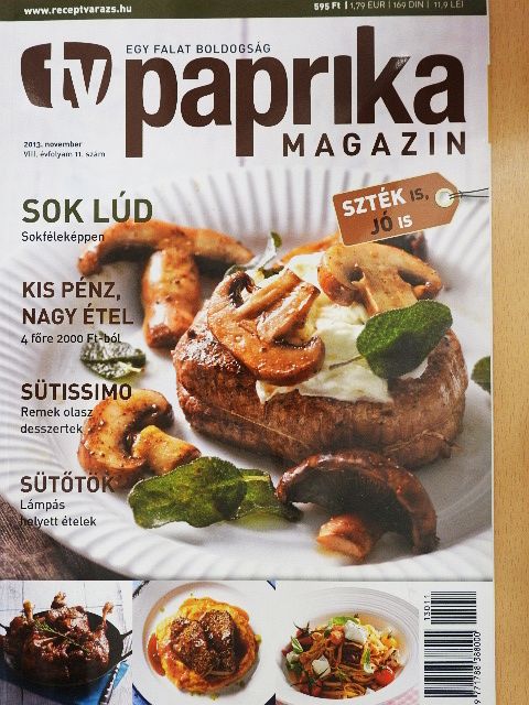 Homoki Róza - TV Paprika Magazin 2013. november [antikvár]