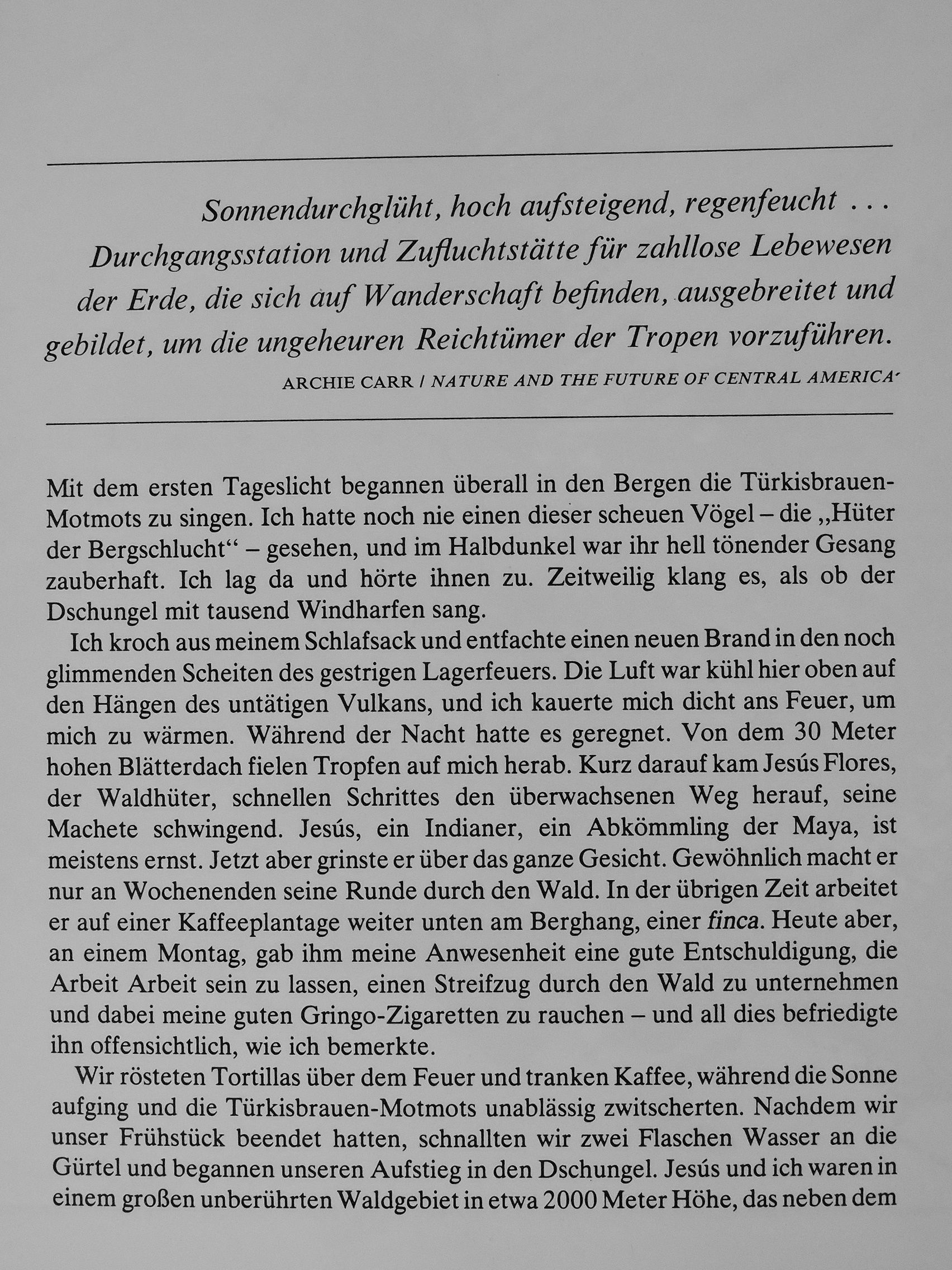 Don Moser - Die Dschungel Mittelamerikas [antikvár]