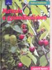 Heidrun Holzförster - Metszés a gyümölcsösben [antikvár]