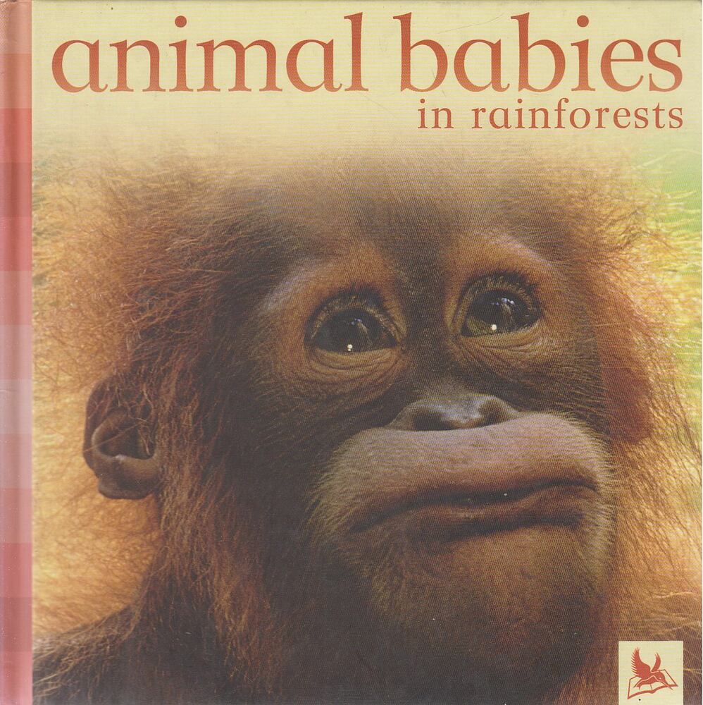 Schofield, Jennifer - Animal Babies in Rainforests [antikvár]