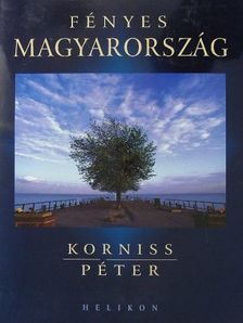 Száraz Miklós György - Fényes Magyarország [antikvár]