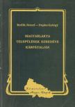 Botlik József, Dupka György - Magyarlakta települések ezredéve Kárpátalján [antikvár]