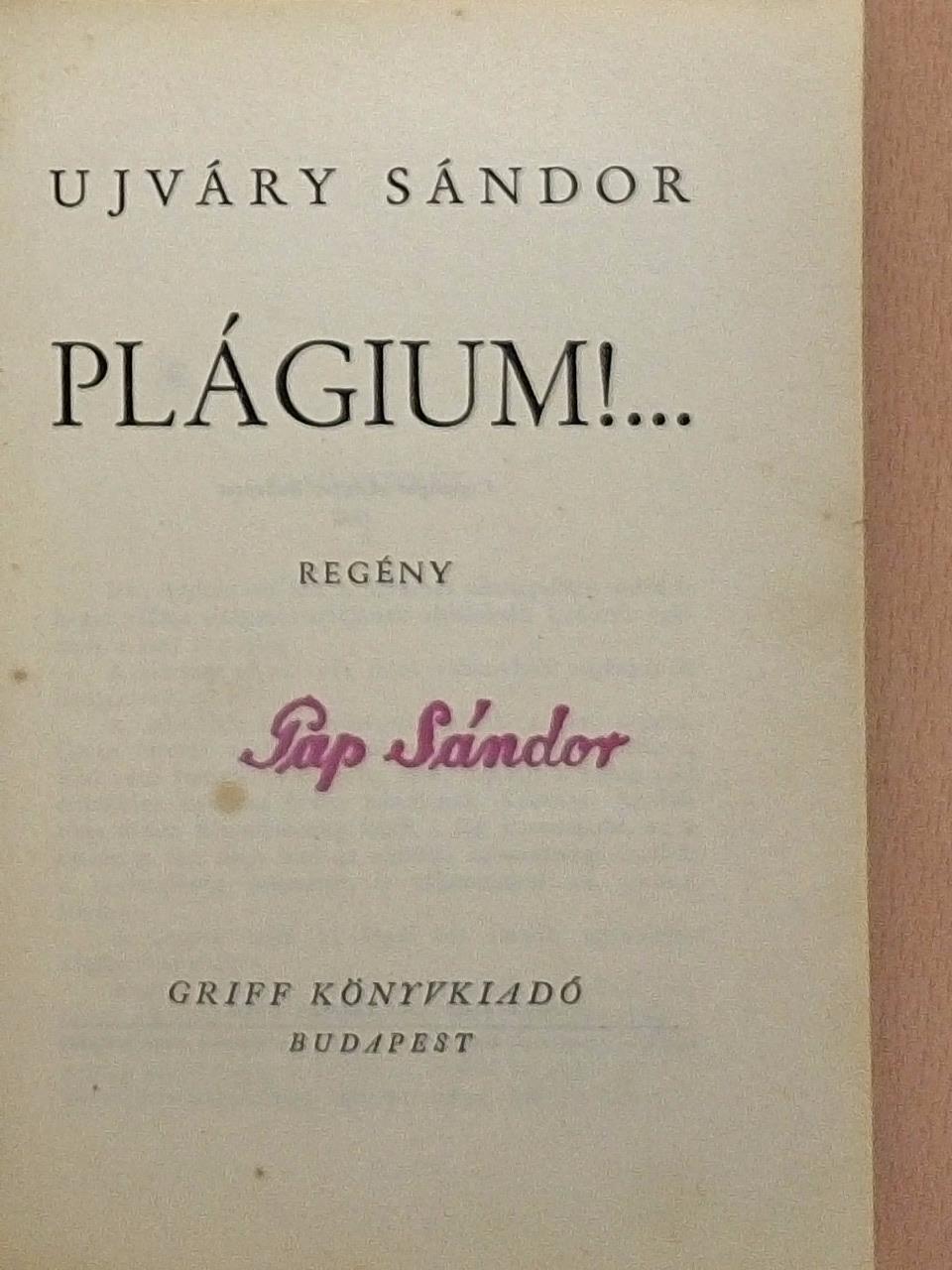 Ujváry Sándor - Plágium!... [antikvár]