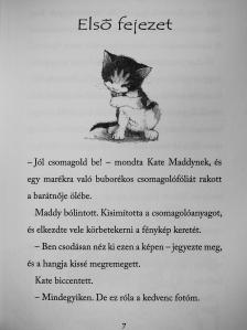 Holly Webb - A rémült kismacska [antikvár]
