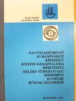 Dr. Stróbl Alajos - Nagyteljesítményű jó manőverező képességű közepes kihasználásra méretezett szilárd tüzelőanyagú hőerőművi egységek műszaki jellemzése [antikvár]