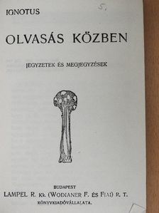 Erich Berneker - Olvasás közben [antikvár]