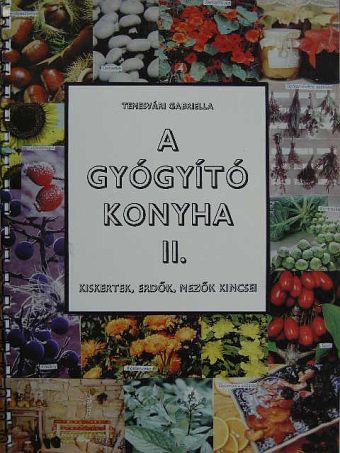 Temesvári Gabriella - A gyógyító konyha II. [antikvár]