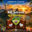 Csereklye Csongor - Brazília - Két bőrönd, egy szerelem [eHangoskönyv]