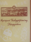 Varró Géza - Papíripari Szakgyűjtemény Diósgyőrben [antikvár]