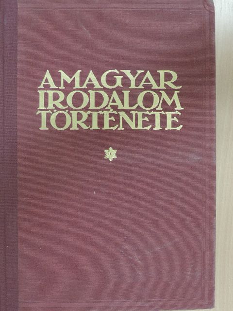 Endrődi Sándor - A magyar irodalom története 1900-ig [antikvár]