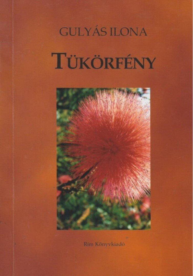 GULYÁS ILONA - Tükörfény [antikvár]
