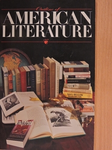 Kathryn VanSpanckeren - Outline of american literature [antikvár]