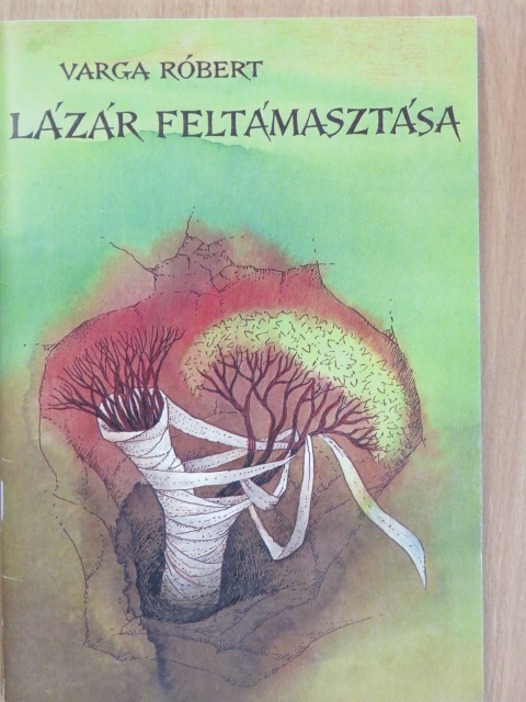 Varga Róbert - Lázár feltámasztása [antikvár]