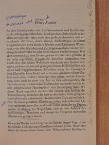 Theodor Fontane - Irrungen, Wirrungen [antikvár]