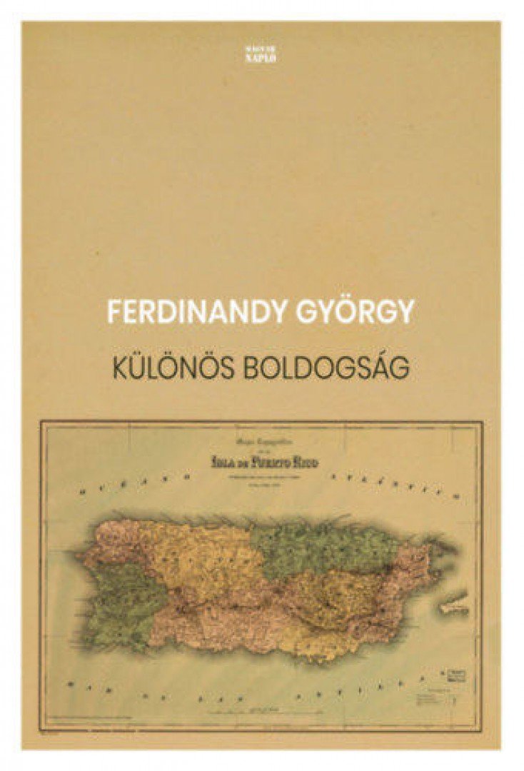 FERDINANDY GYÖRGY - Különös boldogság [antikvár]