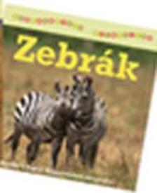 ZEBRÁK
