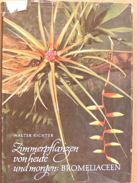 Walter Richter - Zimmerpflanzen von heute und morgen: Bromeliaceen [antikvár]