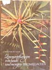Walter Richter - Zimmerpflanzen von heute und morgen: Bromeliaceen [antikvár]