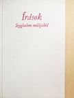 Csánki Benjamin - Írások Szeghalom múltjából [antikvár]