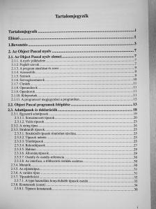 Dr. Tamás Péter - Programozzunk Delphi 7 rendszerben! [antikvár]