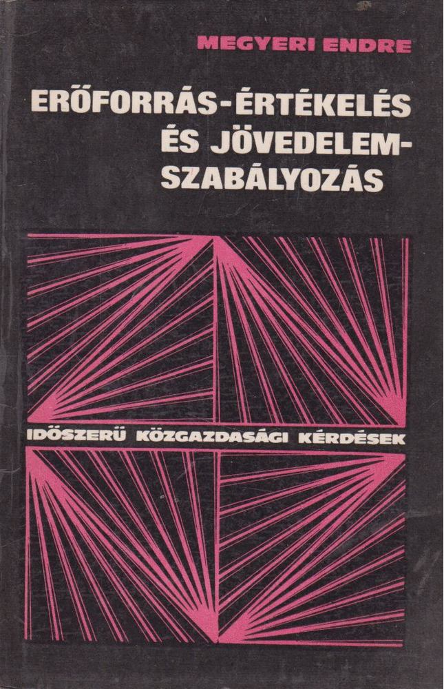 Megyeri Endre - Erőforrás-értékelés és jövedelemszabályozás [antikvár]