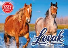 Kedvenc Naptár 2027 Lovak