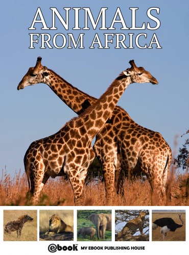 House My Ebook Publishing - Animals from Africa [eKönyv: epub, mobi]