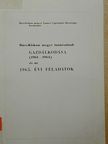Bács-Kiskun megye tanácsainak gazdálkodása (1961-1964) és az 1965. évi feladatok [antikvár]