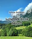 Julius Schäfer - Lehetnék én is bajor?