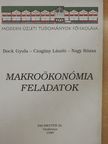 Dr. Bock Gyula - Makroökonómia feladatok [antikvár]